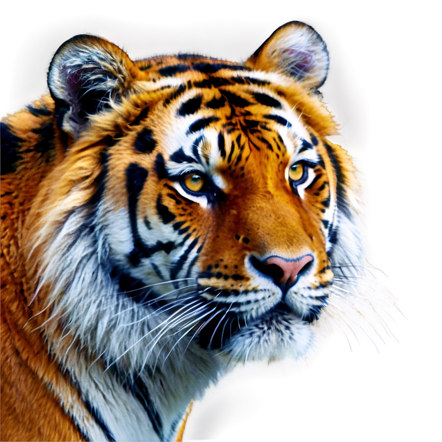 Mystical Tiger Face Aura Png 10