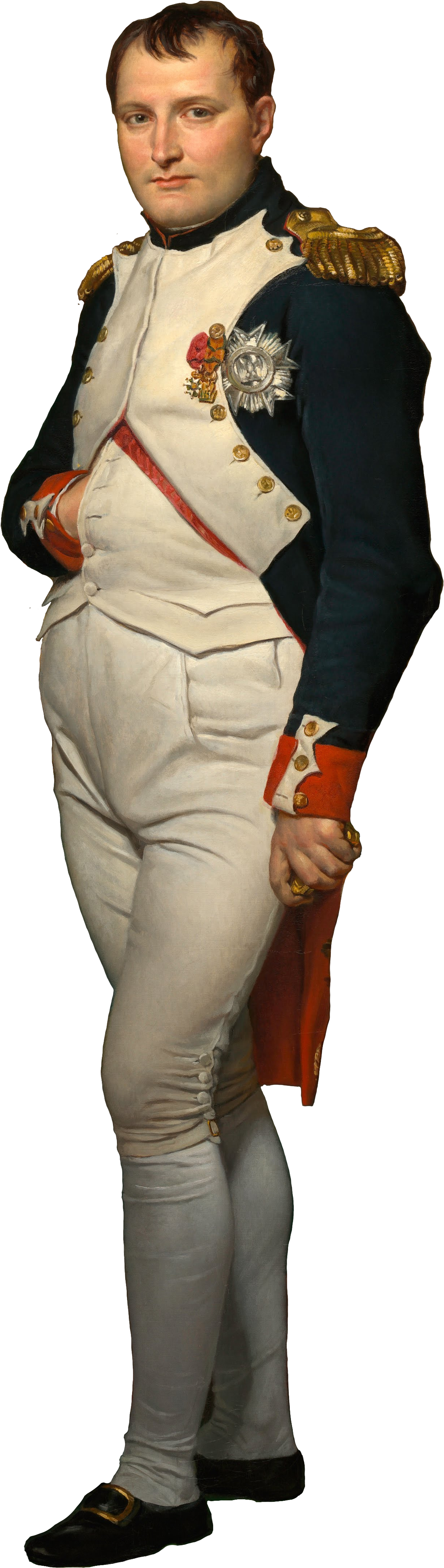 Napoleon Bonaparte Portrait