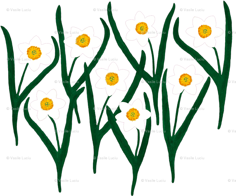 Narcissus Flowers Pattern