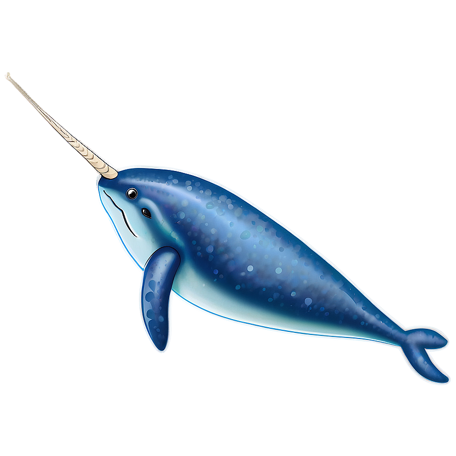 Narwhal B