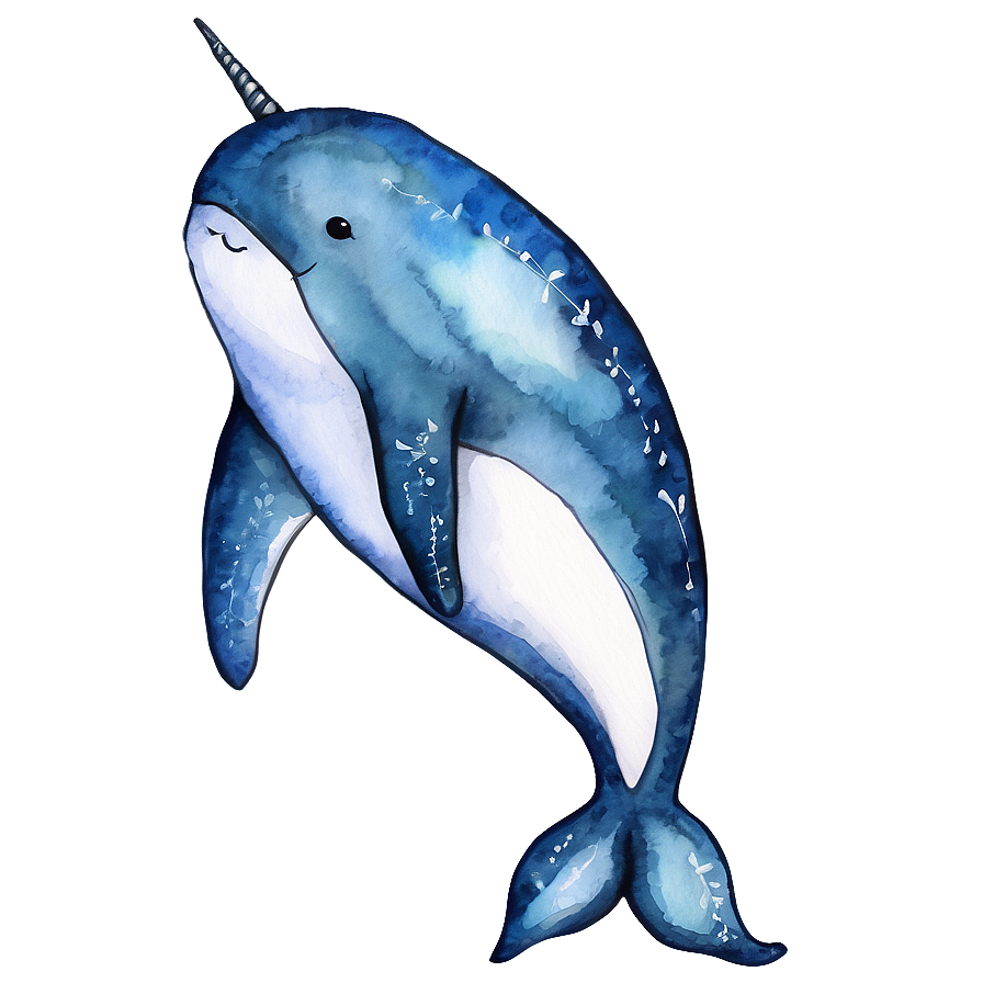 Narwhal Watercolor Painting Png 55