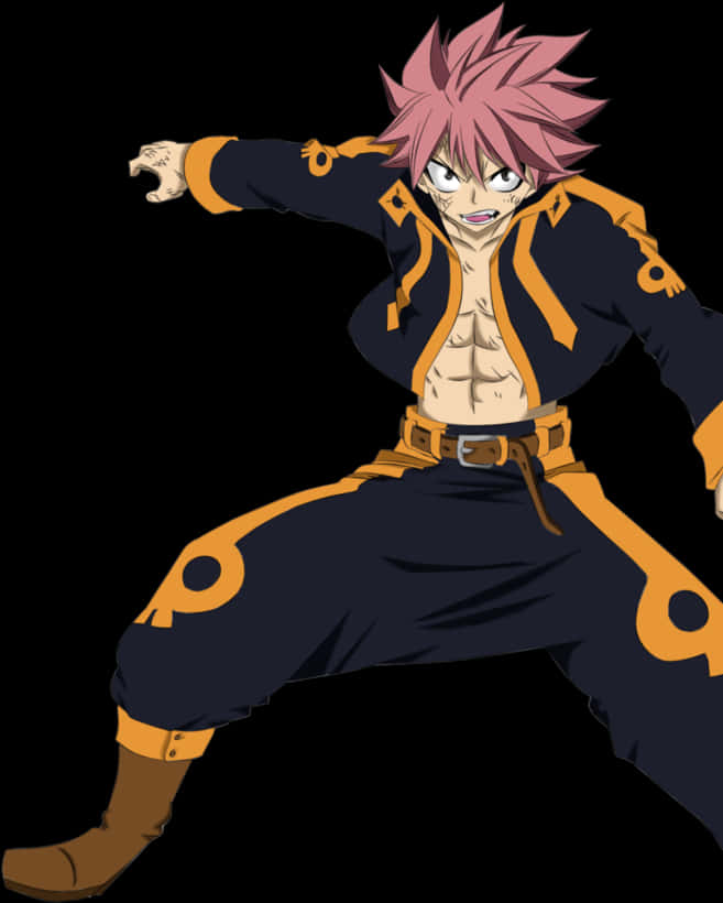 Natsu Dragneel Fairy Tail Anime Character