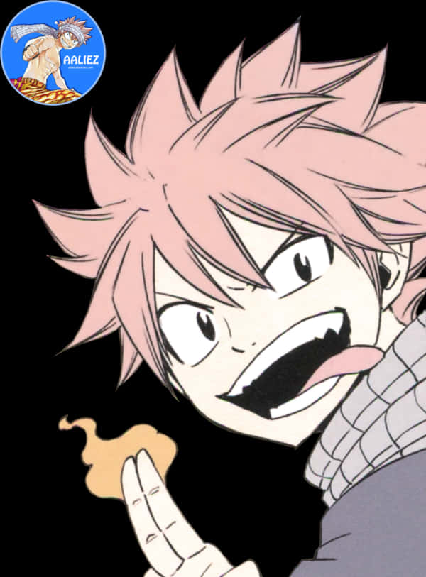 Natsu Dragon Slayer Fire Magic