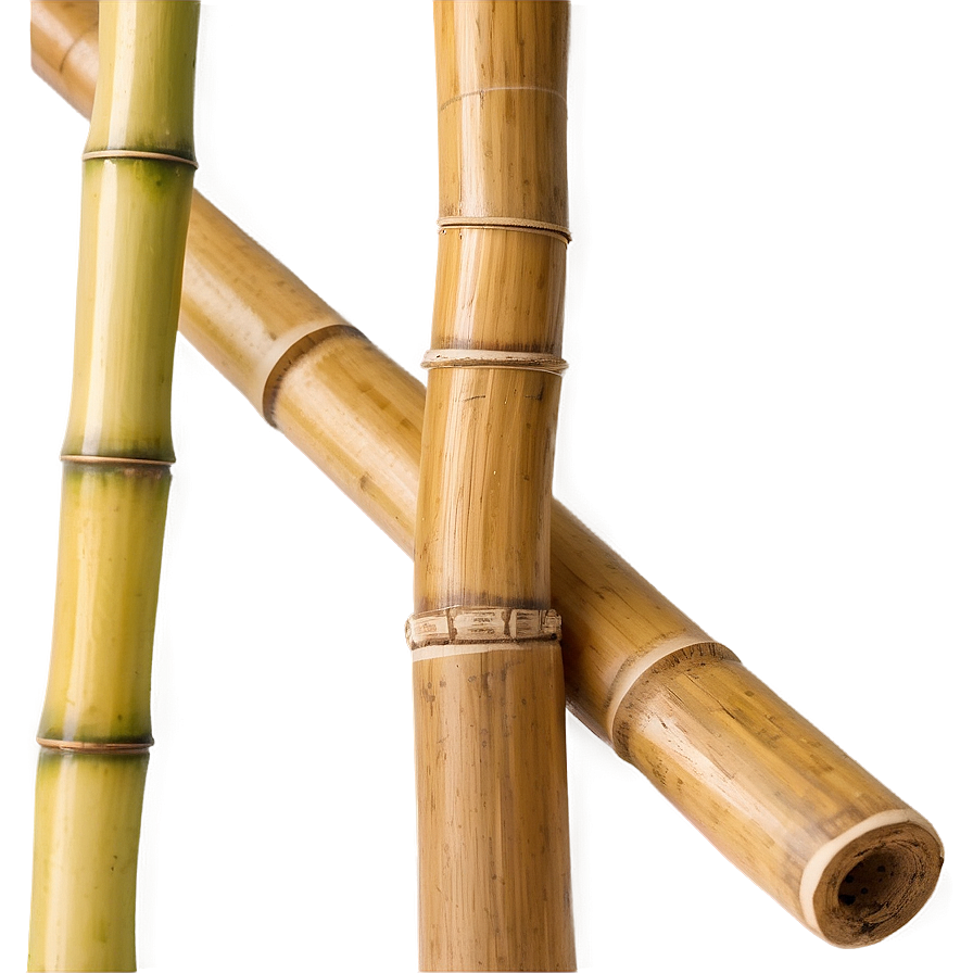 Natural Bamboo Wood Png Oyl76