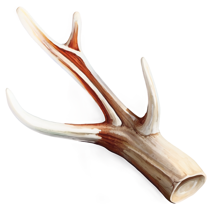 Natural Deer Antler Graphic Png Gch