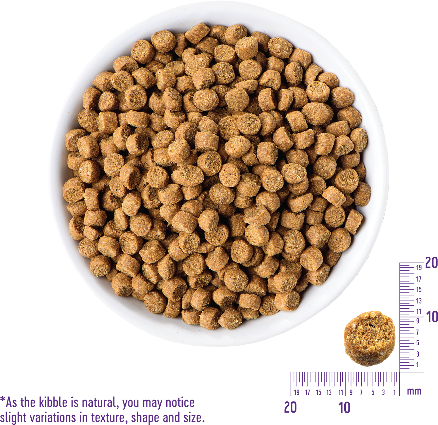 Natural Dog Kibble Textureand Size Variation