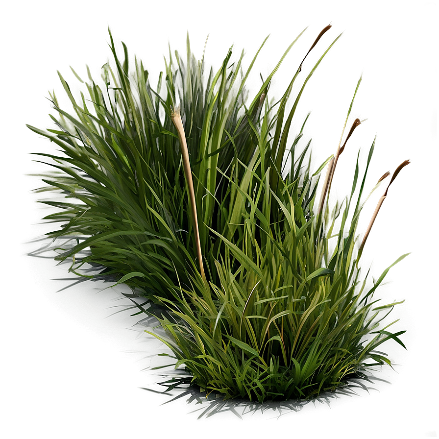 Natural Grass Patch Png Bkm6