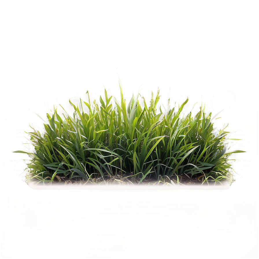 Natural Green Grass Png Svc52