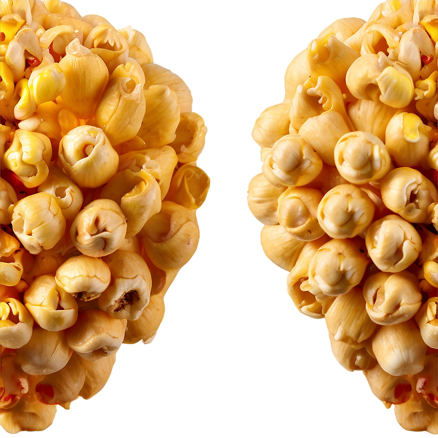 Natural Popcorn Kernel Png Ndp