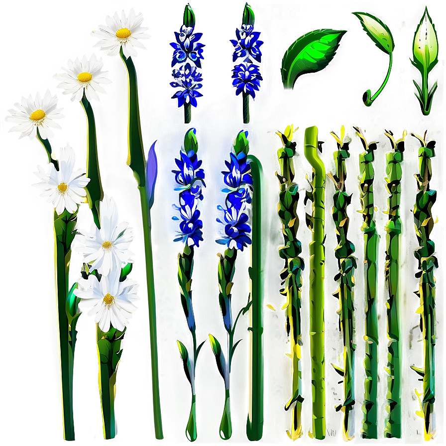 Nature Flower Stem Png Lwa