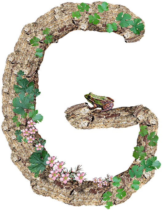 Nature Inspired Letter G Frogand Flowers