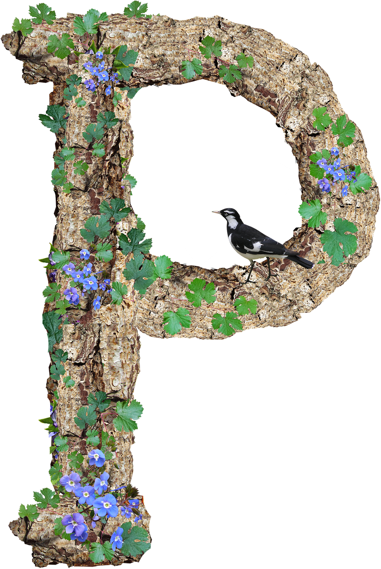 Nature Inspired Letter Rwith Birdand Flowers