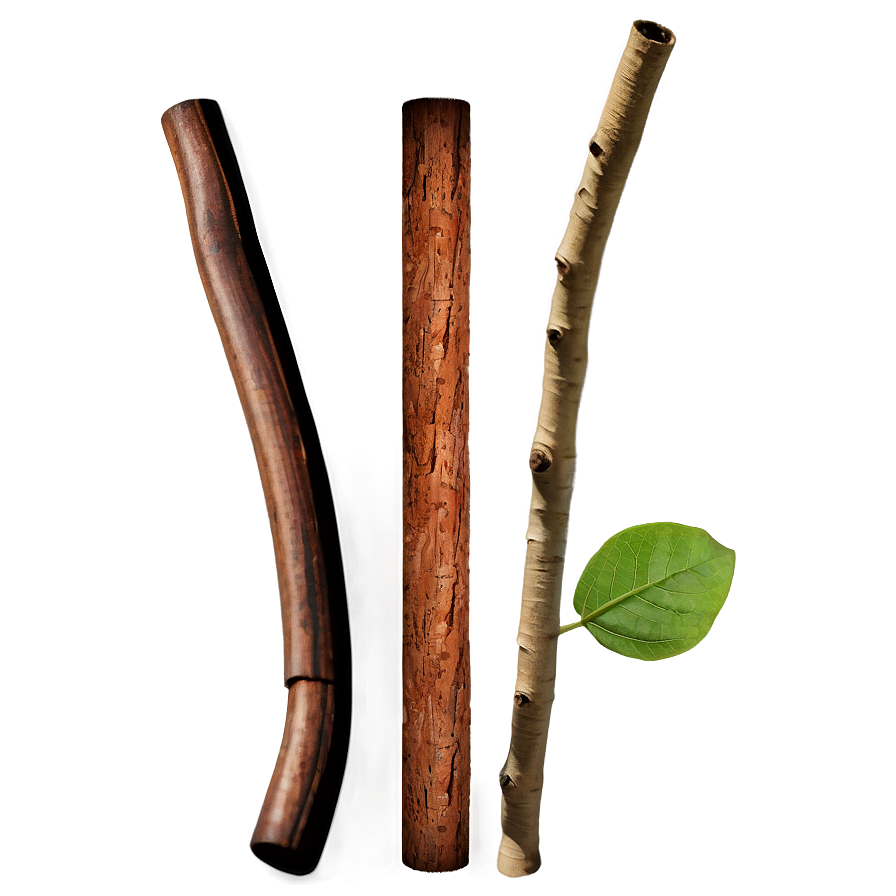 Nature Sticks Png 26