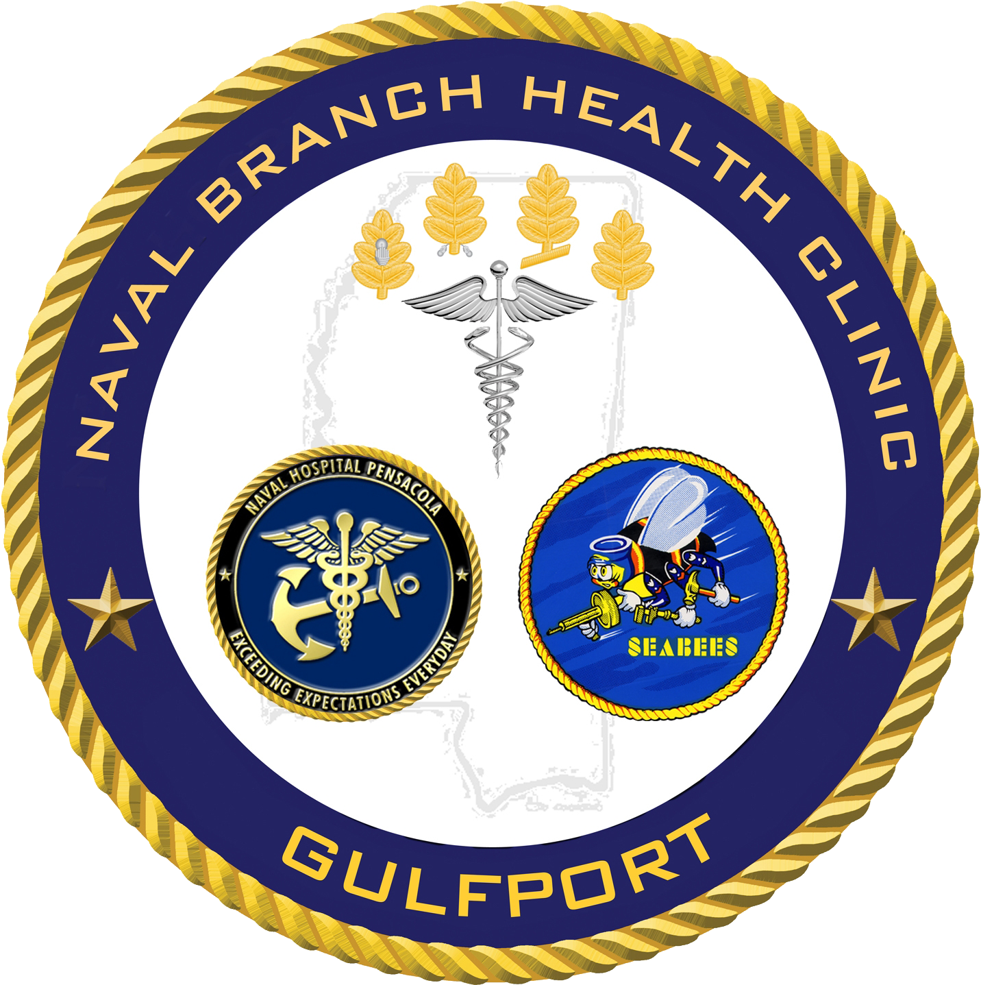 Naval Branch Health Clinic Emblem