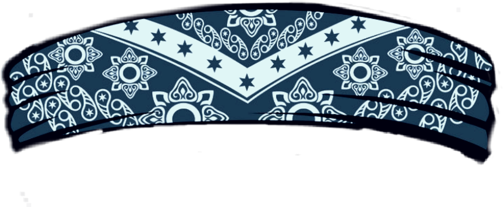 Navy Blue Paisley Bandana Design