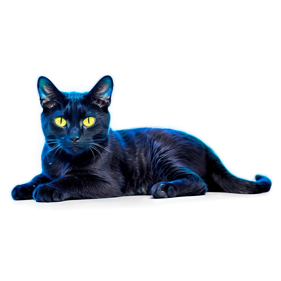 Nebula Cat Png 06242024