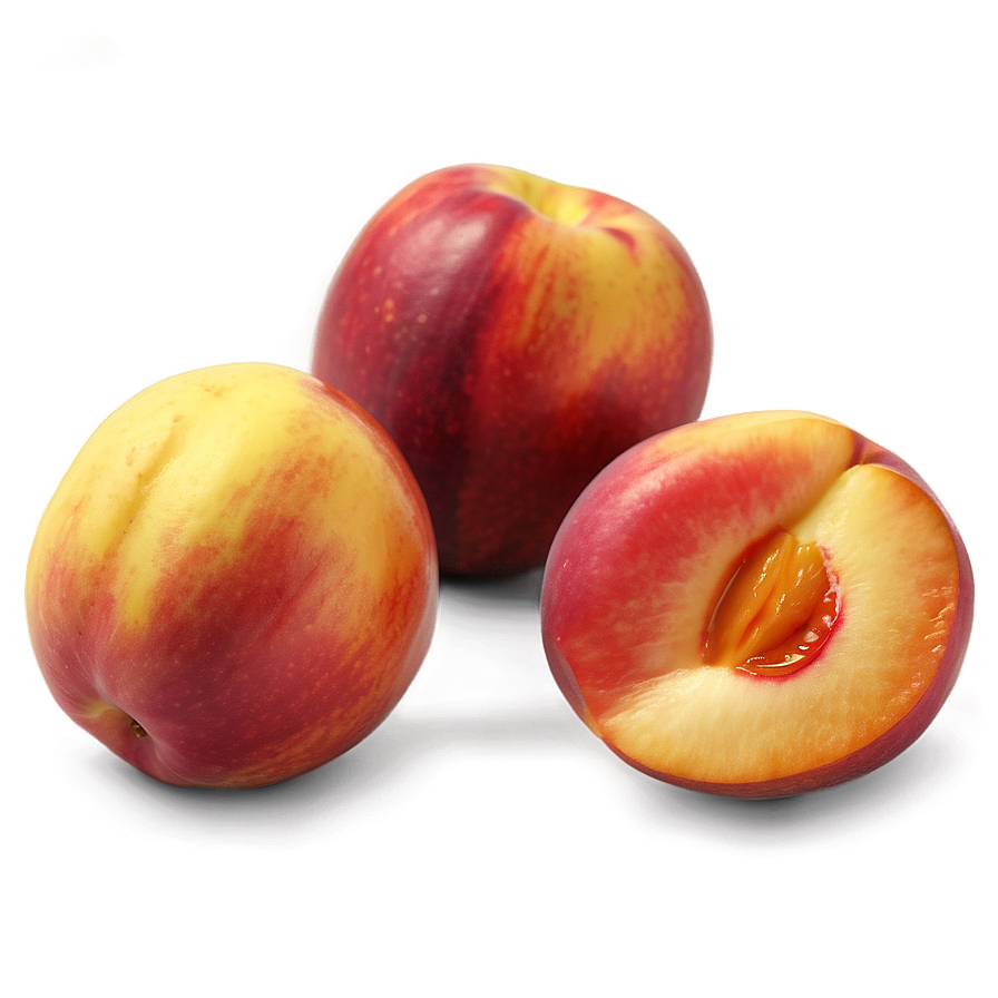 Nectarine Art Png 06252024