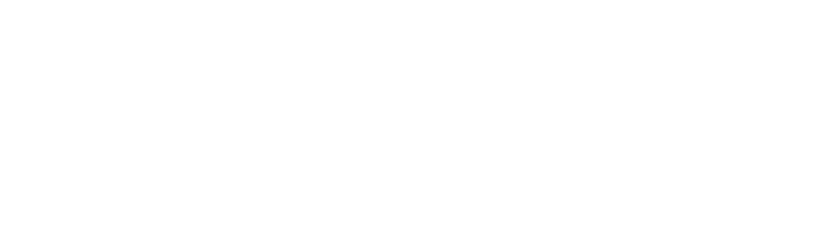 Needfor Speed Logo