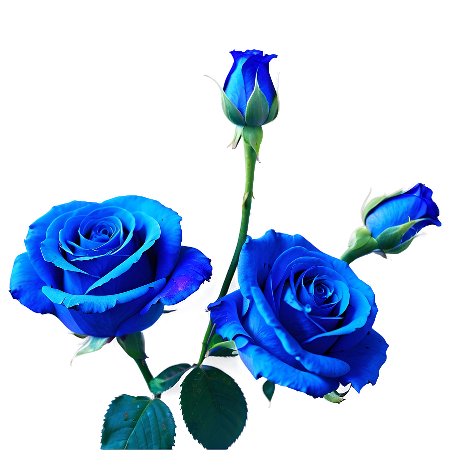 Neon Blue Rose Png Wff