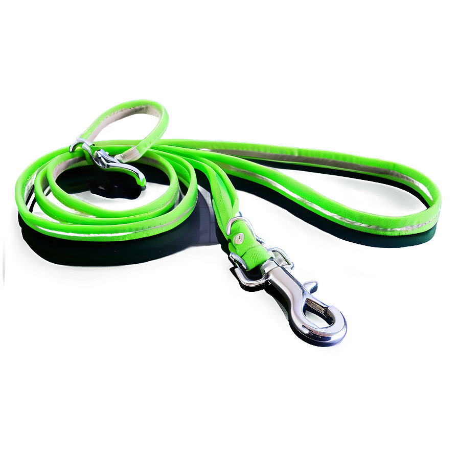 Neon Dog Leash Png 15