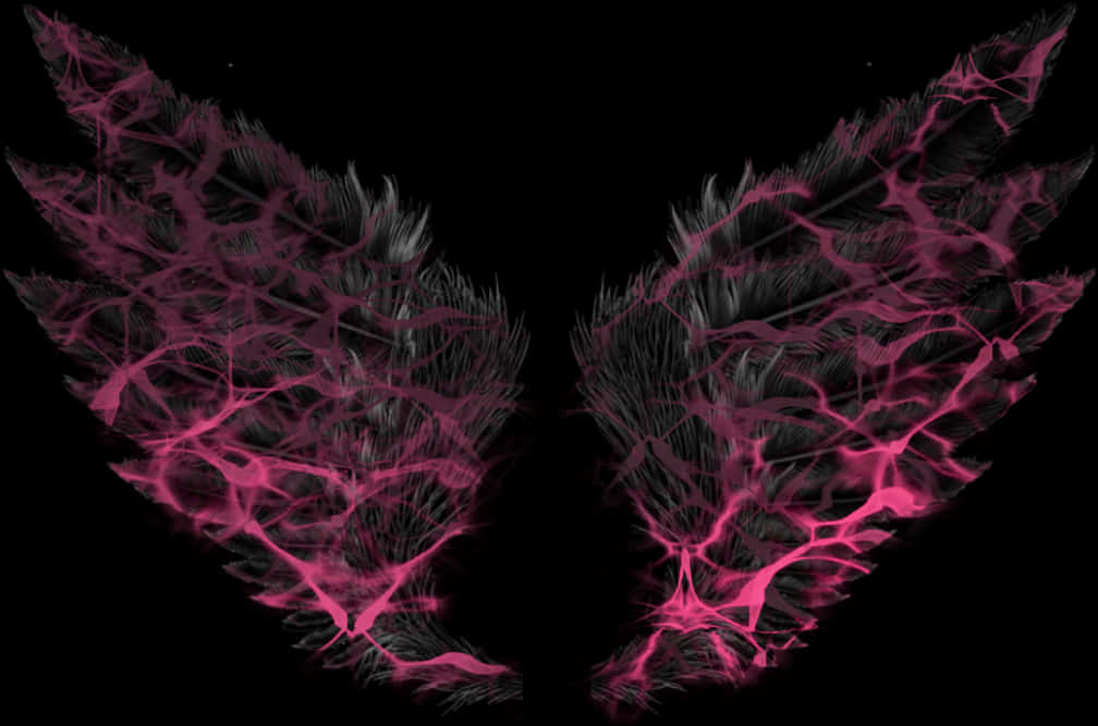 Neon Pink Angel Wingson Black Background