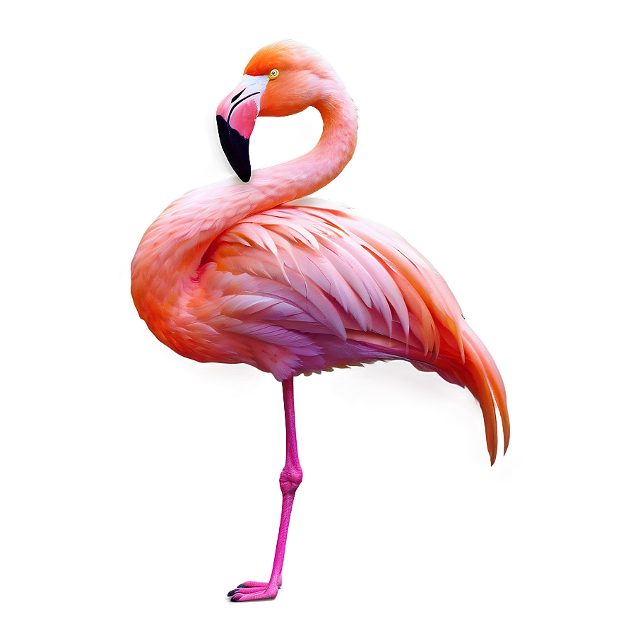 Neon Tropical Flamingo Png 06272024