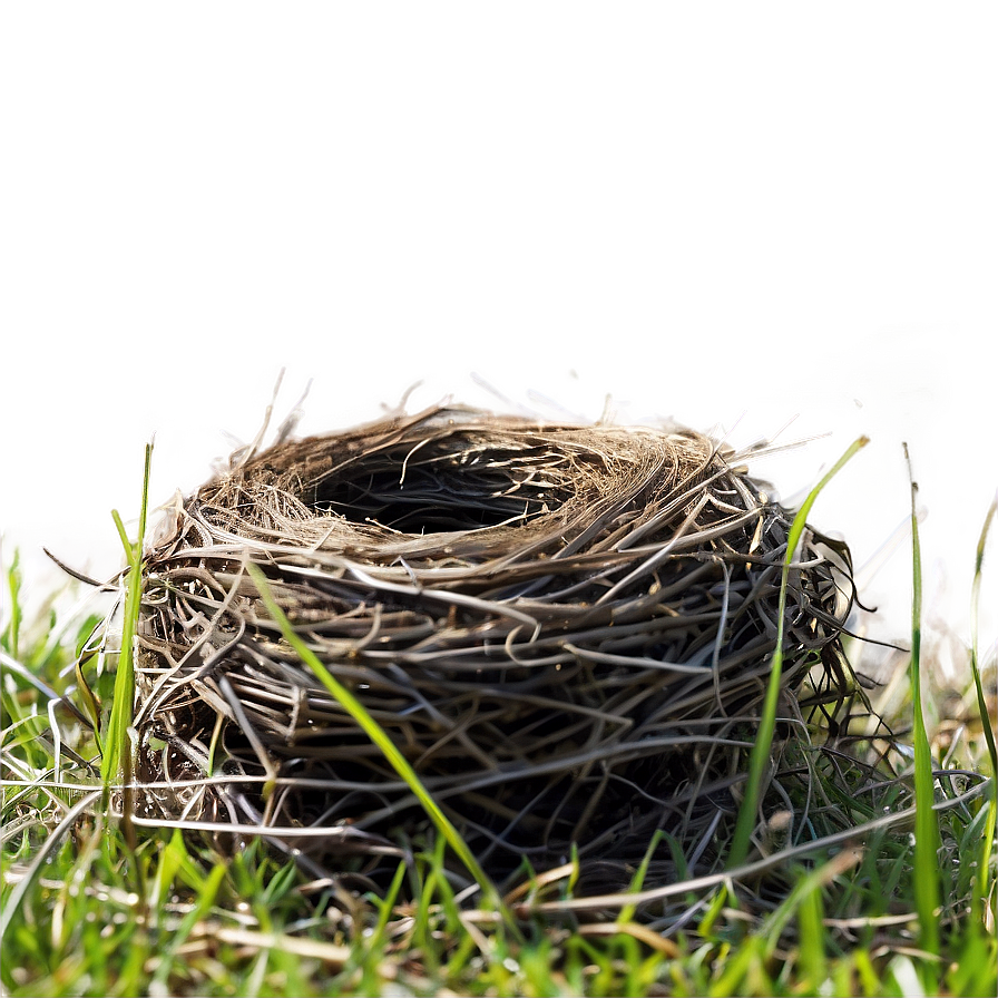 Nest In Meadow Png 86