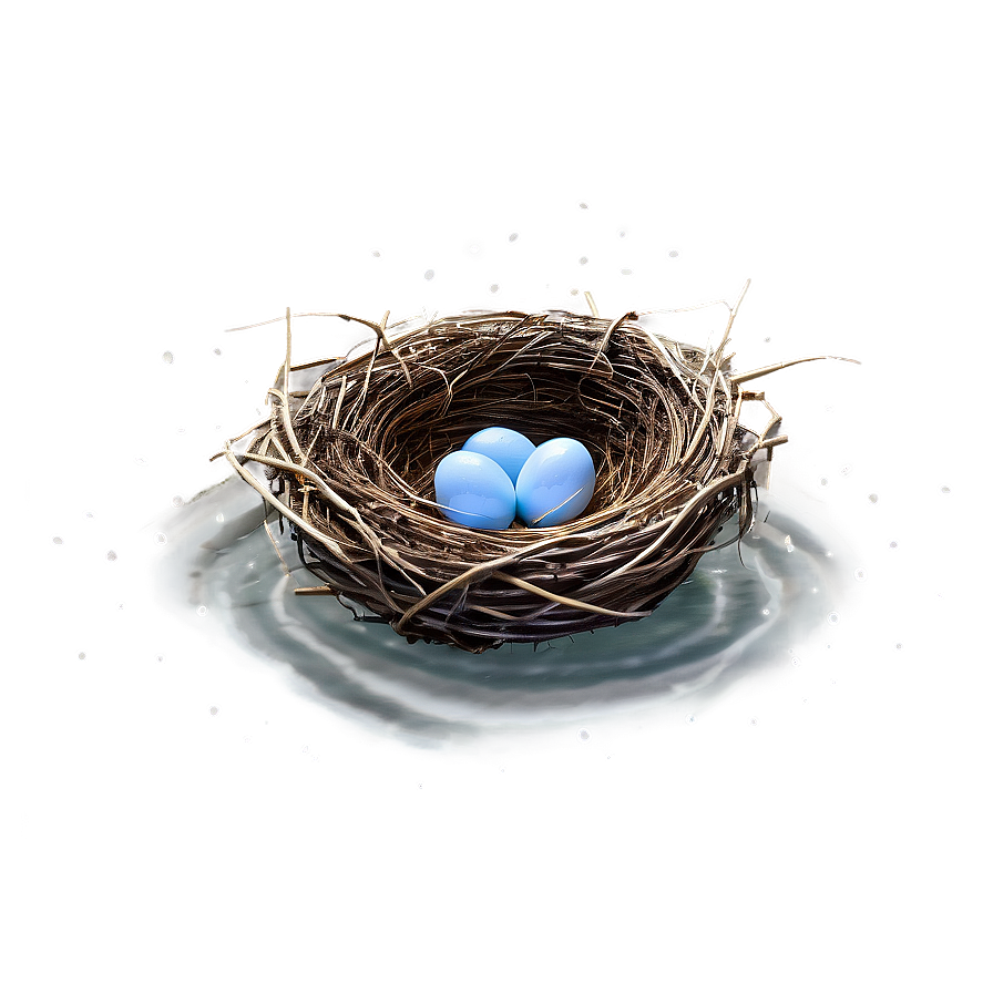 Nest In Rain Png 26