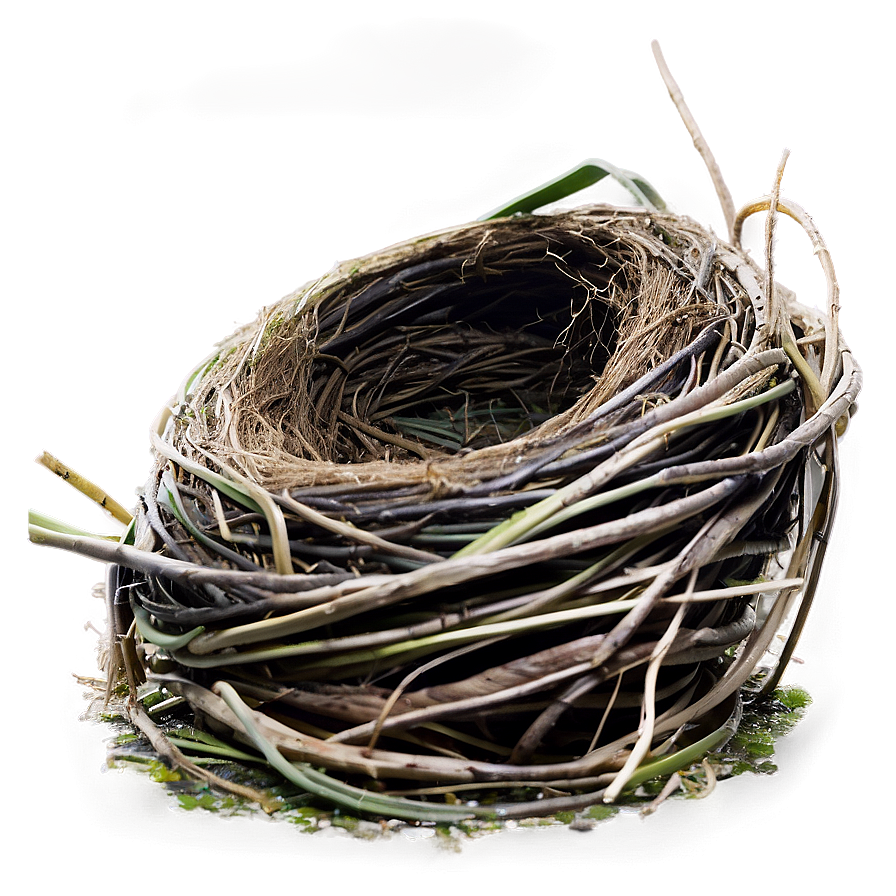 Nest On Ground Png 10