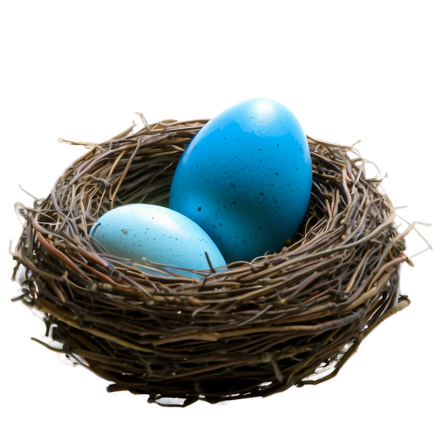 Nest With Blue Eggs Png 05252024