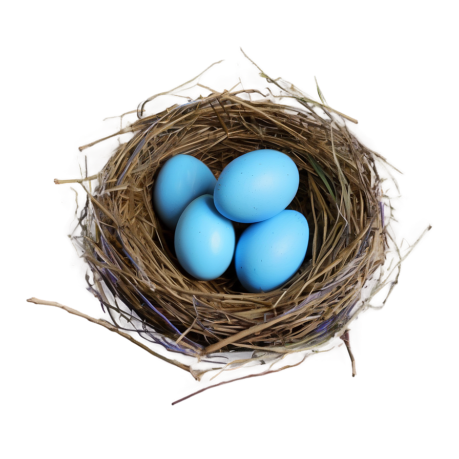 Nest With Blue Eggs Png Twy34