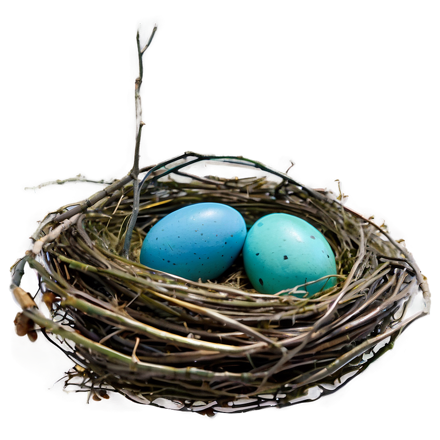 Nest With Robin Eggs Png 90