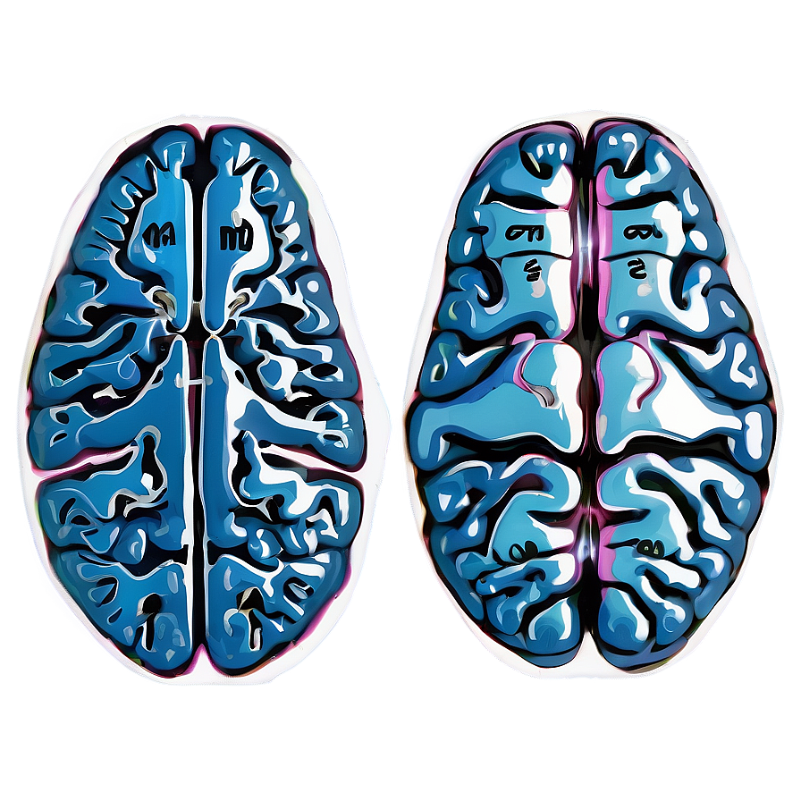 Neurological Brain Outline Png 17