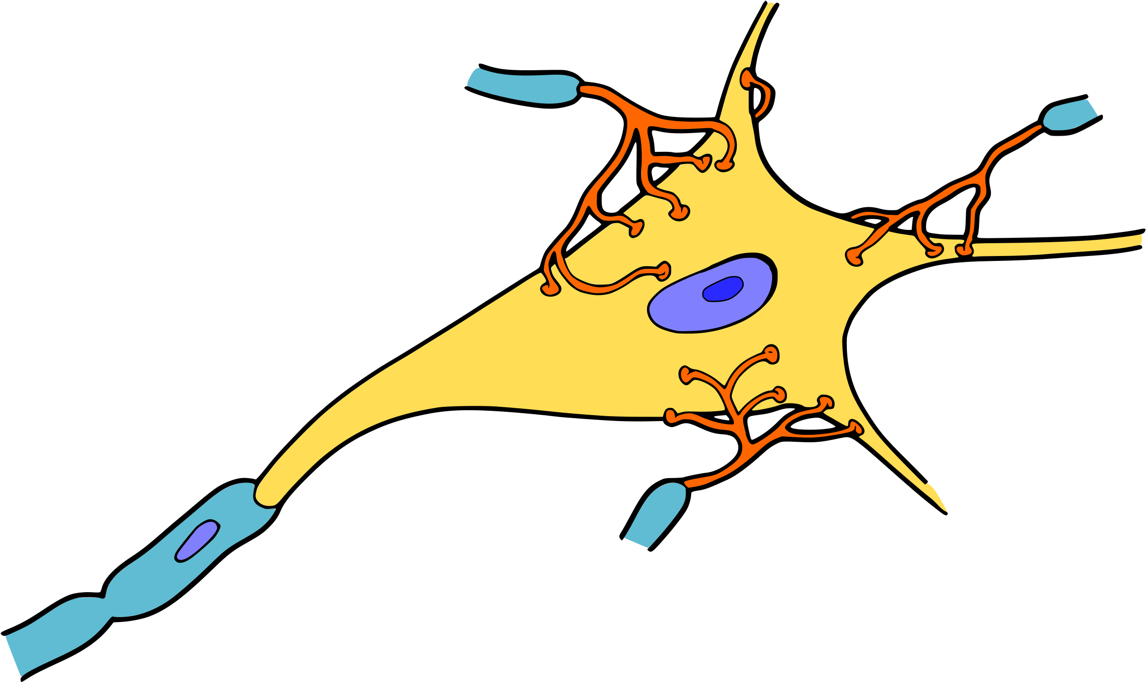 Neuron Structure Illustration