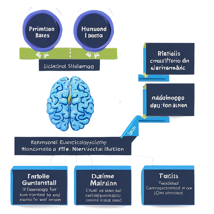 Neuropsychology Basics Png 06122024