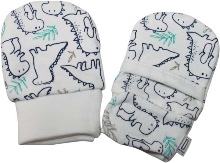 Newborn Dinosaur Print Mittens