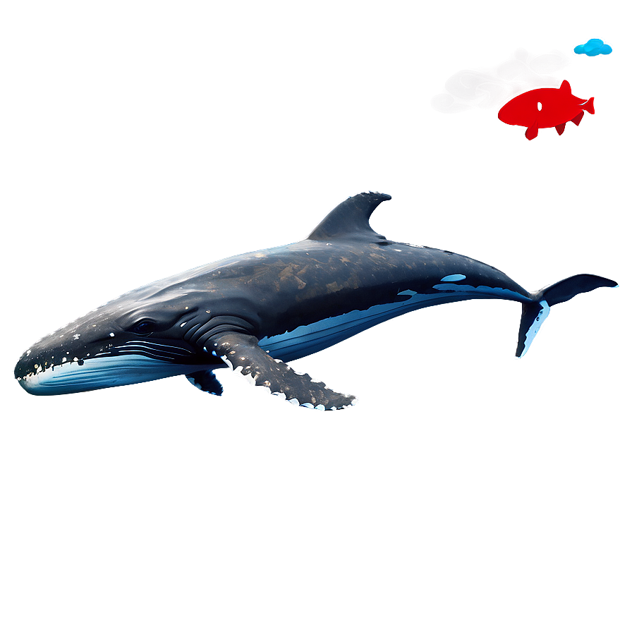 Newborn Humpback Whale Calf Png 75