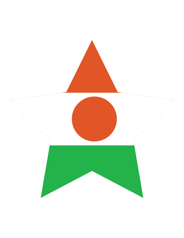 Niger National Flag Graphic