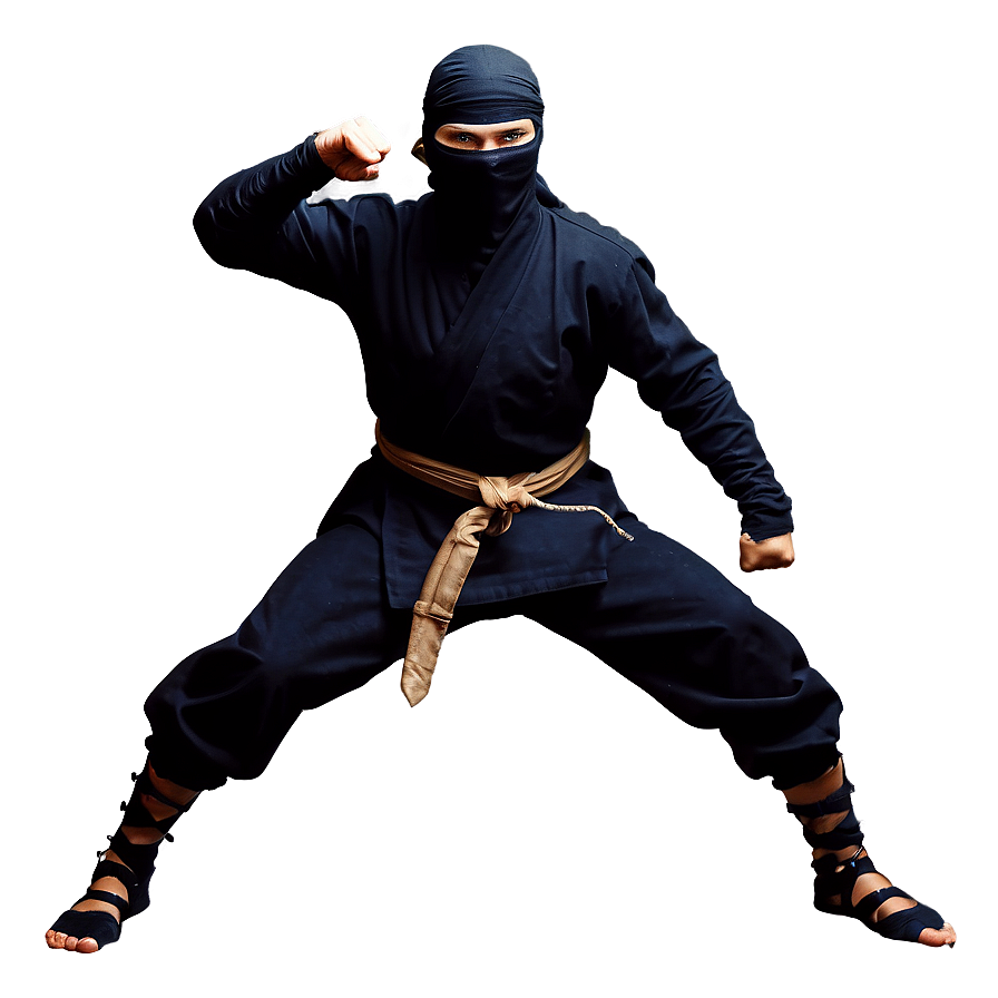 Ninja Battle Stance Png 44