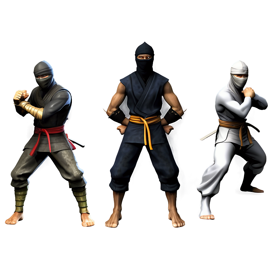 Ninja Characters Png 06122024