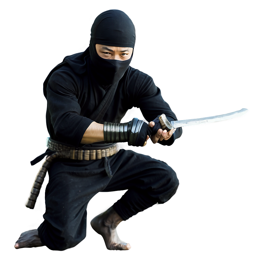 Ninja In Action Png 33