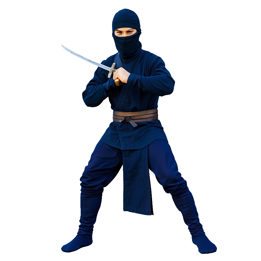 Ninja In Combat Png Qvd46