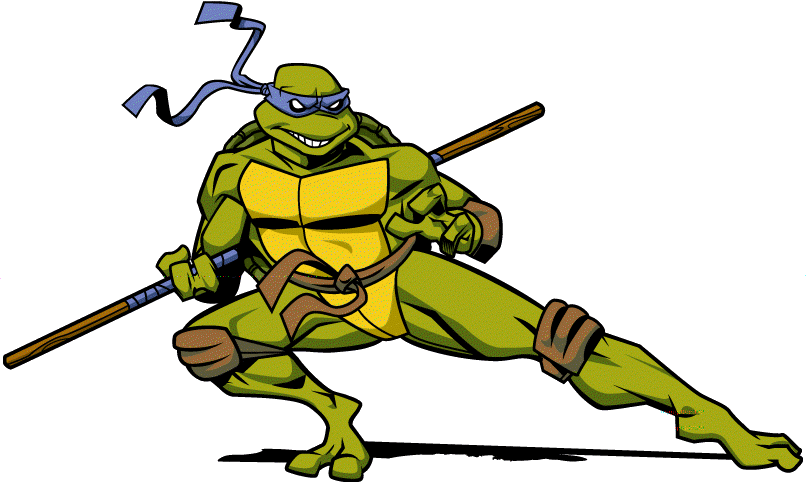 Ninja Turtle With Bo Staff