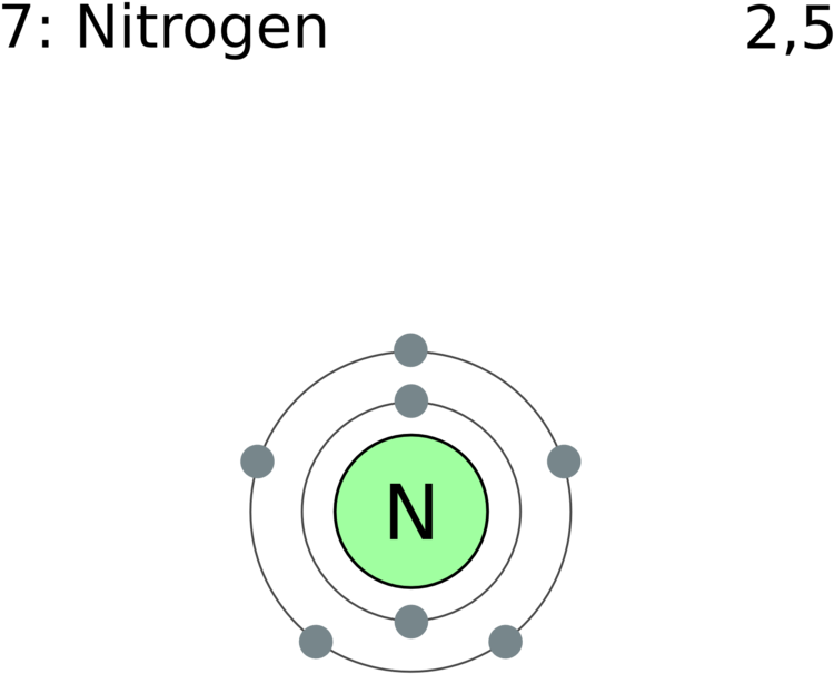 Nitrogen Atom Diagram