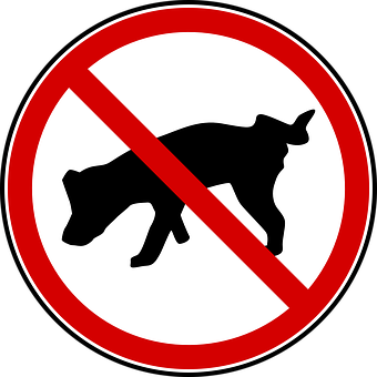 No Dogs Allowed Sign