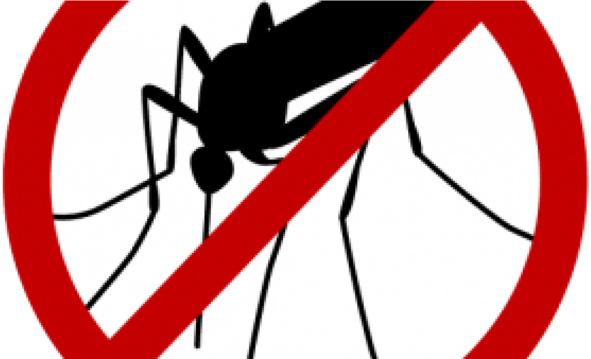 No Mosquito Sign Graphic