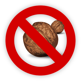 No Nuts Allowed Sign