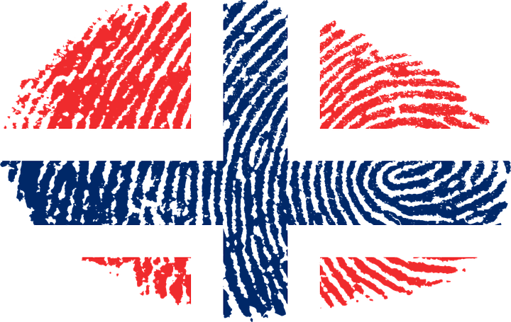 Norwegian Flag Fingerprint