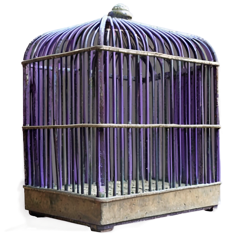 Novelty Theme Cage Png Vii