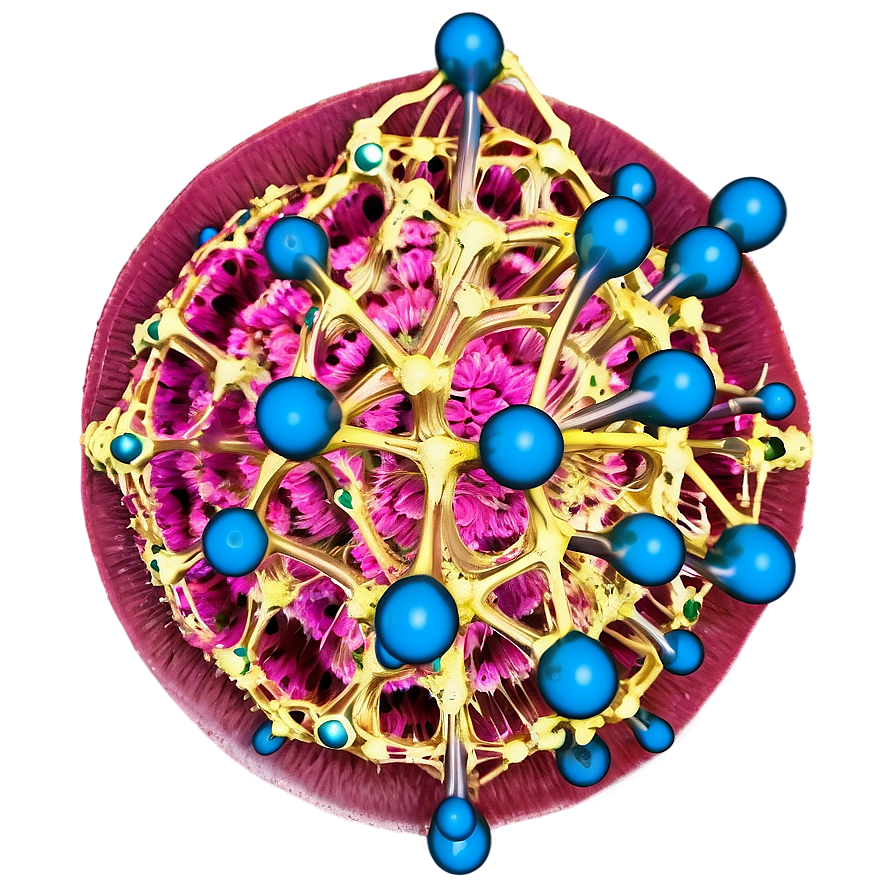 Nucleus Cell Biology Png Wnf